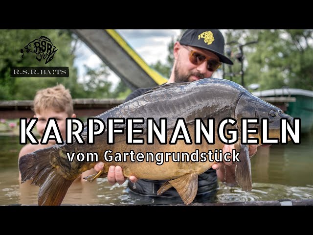 Schönes Bild mit dem Karpfen im Wasser